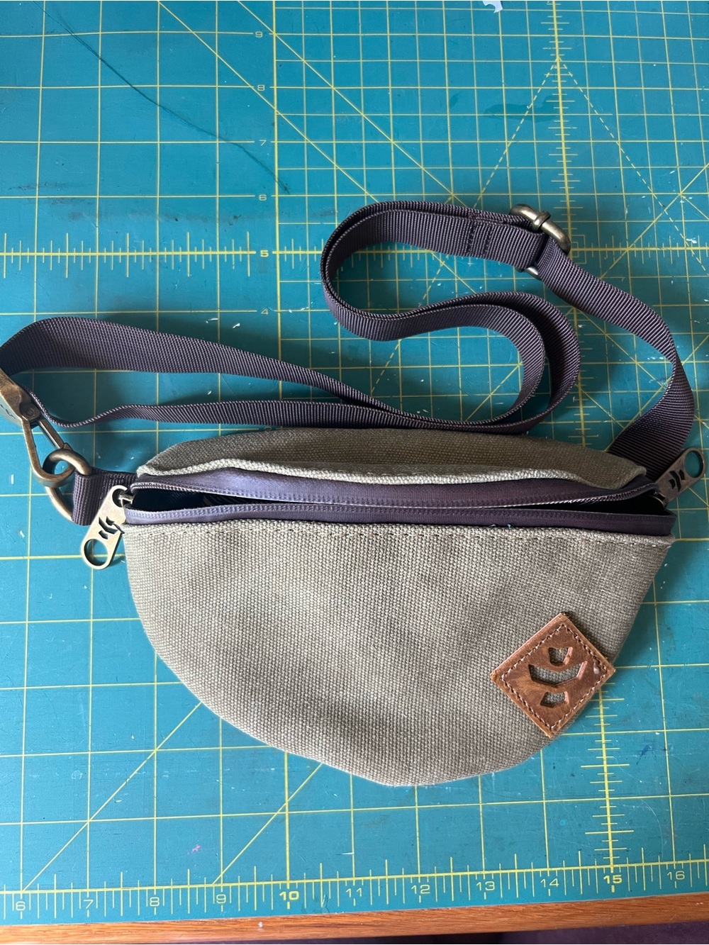 Revelry Hip Bag with Brass Hardware.